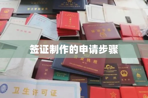 宕昌签证制作的申请步骤
