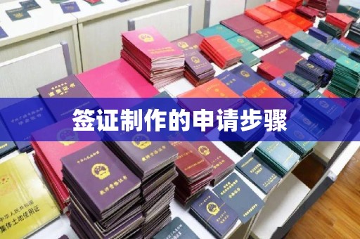 宕昌签证制作的申请步骤