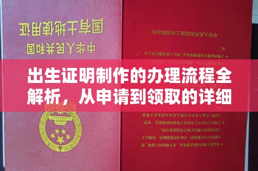 宕昌出生证明制作的办理流程全解析，从申请到领取的详细指南