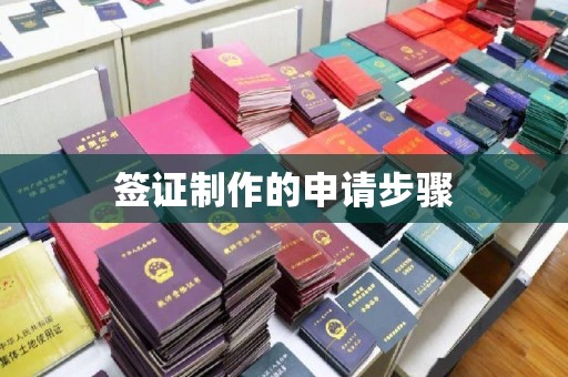 宕昌签证制作的申请步骤
