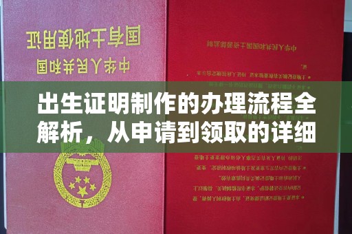 宕昌出生证明制作的办理流程全解析，从申请到领取的详细指南