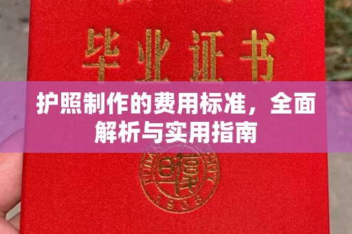 宕昌护照制作的费用标准，全面解析与实用指南