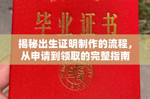 宕昌揭秘出生证明制作的流程，从申请到领取的完整指南